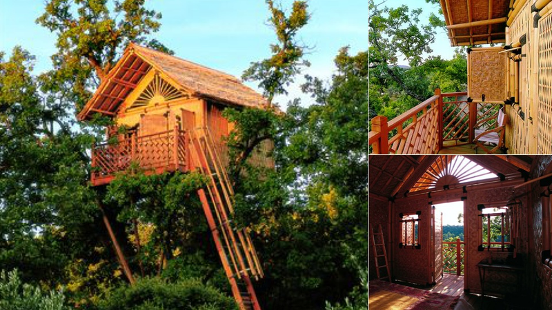 Illustration for article titled 13 Ingenious Treehouses That Go Out on a Limb